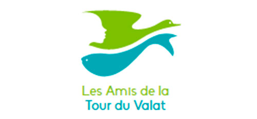 Logo_amis-TdV