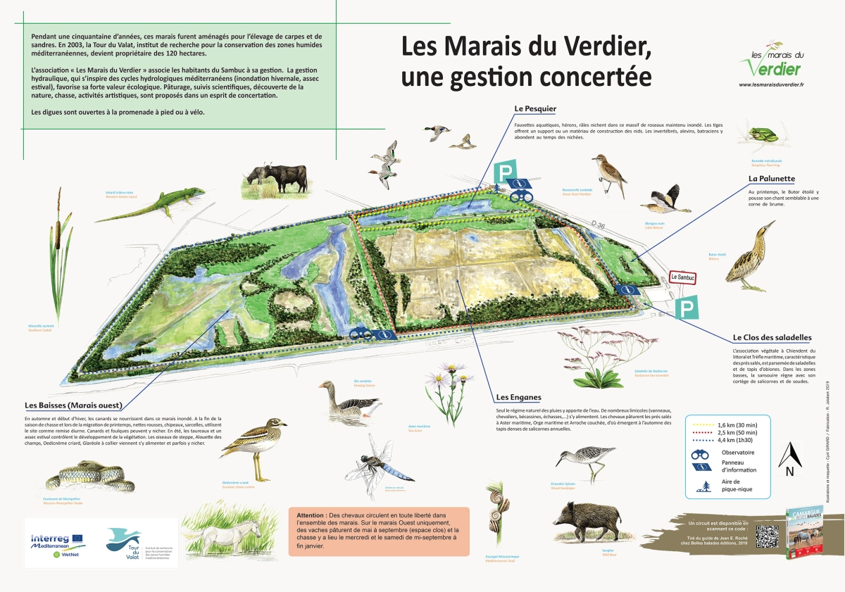 Faune et flore Les Marais du Verdier