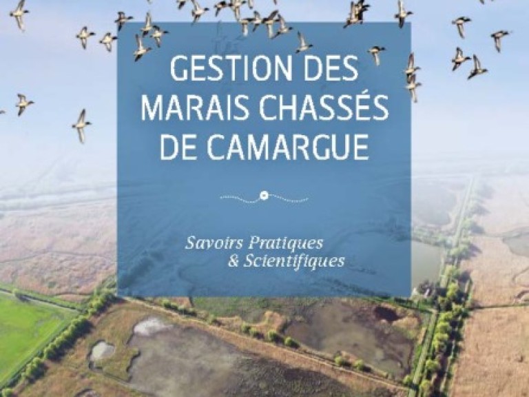 Pages-from-2024-GuideGestionMaraisChasseBD.pdf-446x640