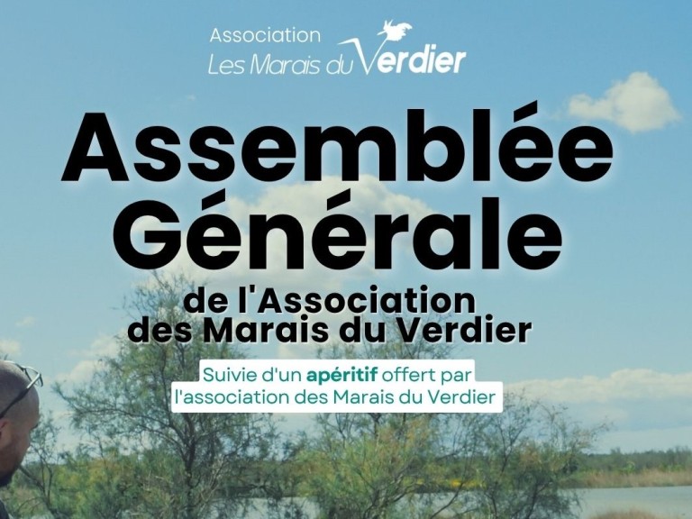 Verdier - Assemblée Générale 2025 Tete