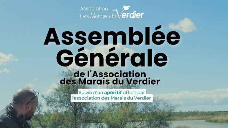 Verdier - Assemblée Générale 2025 Tete